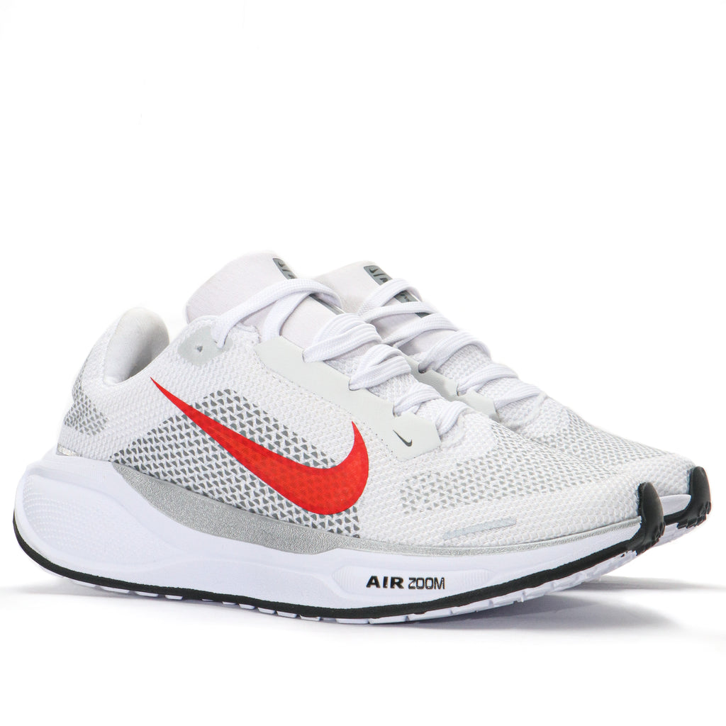 PEGASUS 41 AN14 NV