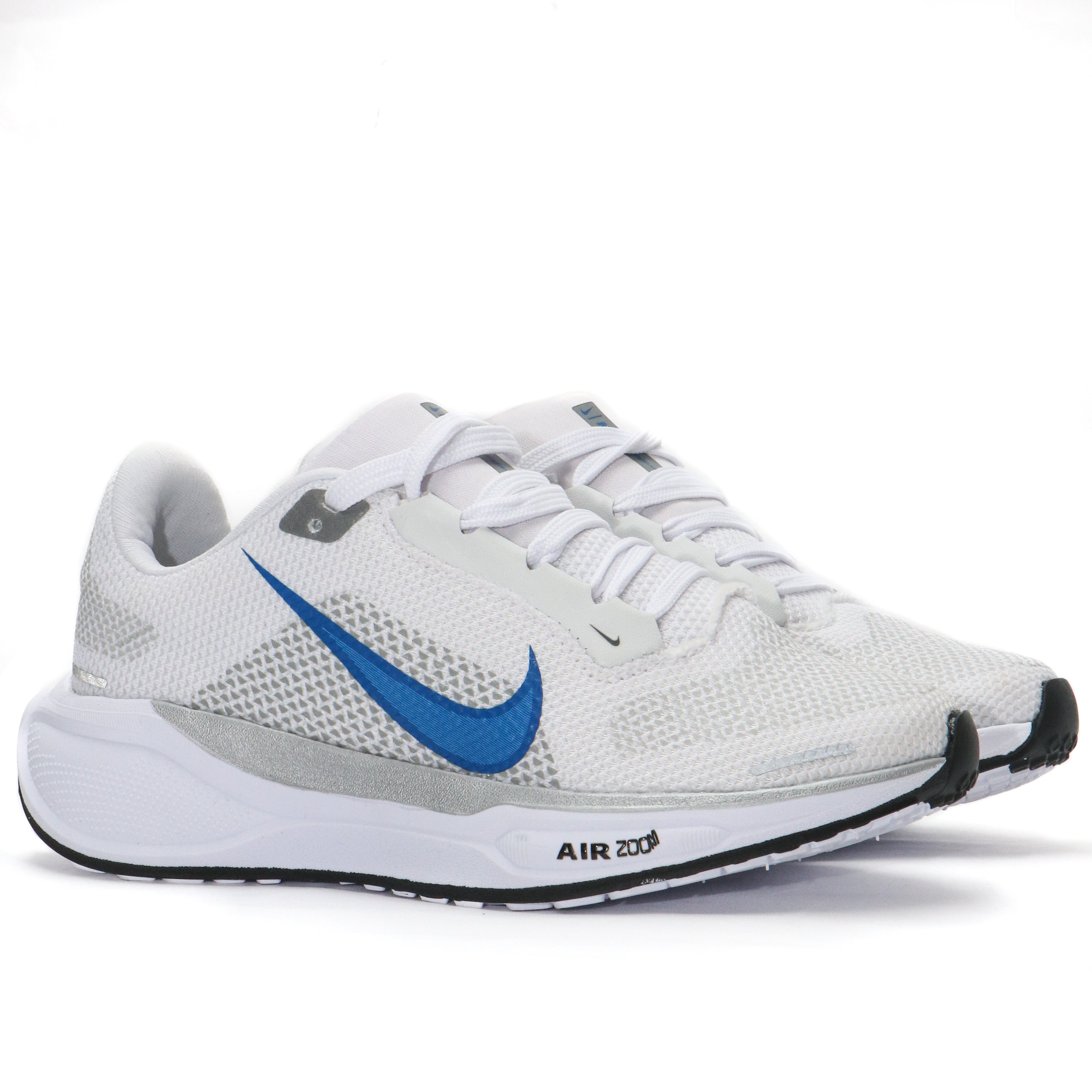 PEGASUS 41 AN14 NV